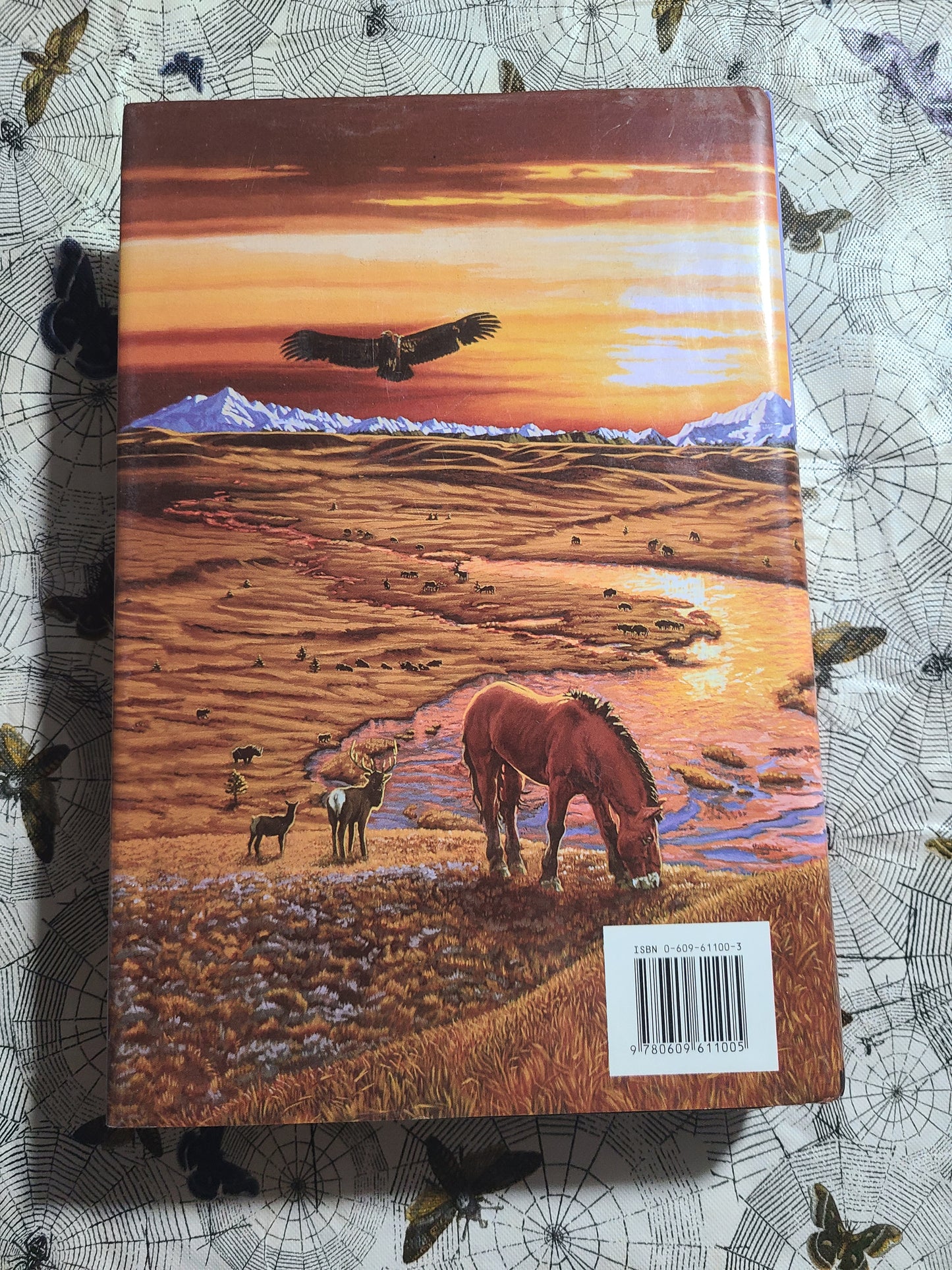 Used The Plains of Passage By: Jean M. Auel